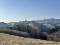 Prodej, les, 32 050m2, Plavy, Haratice - IMG_9659.jpeg