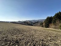 Prodej, les, 32 050m2, Plavy, Haratice - IMG_9660.jpeg