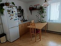 Prodej krásného a slunného bytu 3+1 s balkonem - d59d357f-3576-462c-910a-302f66ccfc3e.JPG