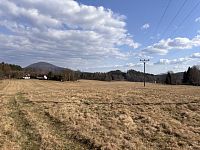 Prodej pozemku v obci Trávník u Cvikova - IMG_2411.JPG