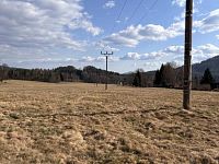 Prodej pozemku v obci Trávník u Cvikova - IMG_2412.JPG