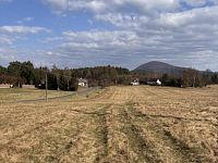 Prodej pozemku v obci Trávník u Cvikova - IMG_2413.JPG