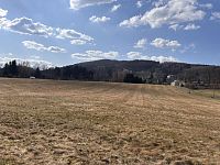 Prodej pozemku v obci Trávník u Cvikova - IMG_2419.JPG