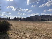 Prodej pozemku v obci Trávník u Cvikova - IMG_2420.JPG