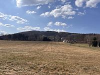 Prodej pozemku v obci Trávník u Cvikova - IMG_2421.JPG