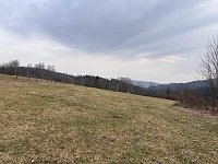 Prodej souboru pozemků v obci Proseč pod Ještědem - IMG_2388.JPG