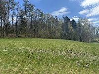 Prodej, les, louka, 5723m2, Loužnice - IMG_2525.jpeg