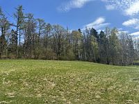 Prodej, les, louka, 5723m2, Loužnice - IMG_2532.jpeg