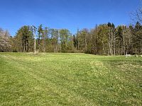 Prodej, les, louka, 5723m2, Loužnice - IMG_2938.jpeg