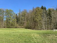 Prodej, les, louka, 5723m2, Loužnice - IMG_2940.jpeg