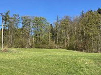 Prodej, les, louka, 5723m2, Loužnice - IMG_2941.jpeg