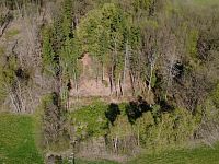 Prodej, les, louka, 5723m2, Loužnice