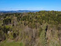 Prodej, les, louka, 5723m2, Loužnice - IMG_2958.jpeg