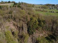 Prodej, les, louka, 5723m2, Loužnice - IMG_2959.jpeg