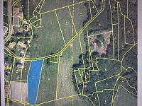 Prodej, louka, 3 786m2, Loužnice - IMG_2878.jpeg