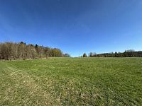 Prodej, louka, 3 786m2, Loužnice - IMG_2929.jpeg