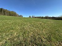 Prodej, louka, 3 786m2, Loužnice - IMG_2931.jpeg