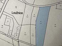 Prodej, louka, 3 786m2, Loužnice - IMG_3188.jpeg