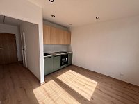 Prodej bytu 2+1 s lodžií po velmi zdařilé rekonstrukci - IMG_3528.JPG