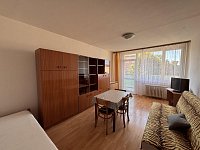 Pronájem vybaveného bytu 1kk s lodžií ve Vratislavicích nad Nisou - IMG_4325.JPG