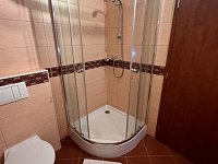 Pronájem  apartmánu 1+kk s vlastní koupelnou a WC v rodinném domě  k dlouhodobému pronájmu - IMG_7953.JPG