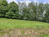 Pozemek Černý Důl Krkonoše KRNAP - Fotka 3