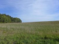 prodej soouboru pozemků Horní Planá - P1080233.JPG