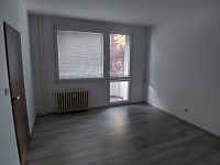 Pronájem bytu 1+1 s balkónem, 39 m² v Táboře na Náchodském sídlišti - 20250529_183401[1].jpg