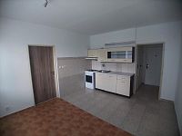 Pronájem bytu 1+1 s balkónem, 39 m² v Táboře na Náchodském sídlišti - 20250529_183846[1].jpg