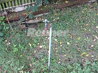 Pronájem,  garáž, 30m2, zahrada 778m2, Ústí nad Labem-Vaňov - 20230927_171542.jpg