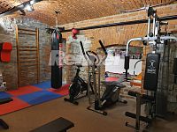 Pronájem, byt 2+kk, 60m2, 1.p., cihlový dům, parkování, sauna, bazén, zahrada, Internet, Ústí n/L - 1602864007-2182.jpg