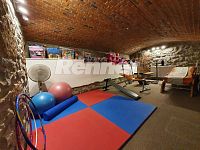 Pronájem, byt 2+kk, 60m2, 1.p., cihlový dům, parkování, sauna, bazén, zahrada, Internet, Ústí n/L - 1602864695-08.jpg