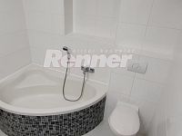 Pronájem, byt 2+kk+L, 52 m2, 3. patro, cihl. dům, parkování, zahrada, fitness, sauna, Ústí nad Labem - 20230310_144020.jpg