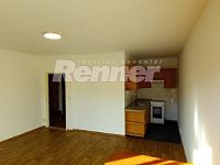 Prodej, Byt 2+kk (42m2), plastová okna, Ústí nad Labem-Krásné Březno - 1000035369.jpg