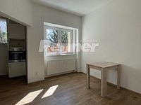 Pronájem, byt 1+kk, 34 m2, cihlový dům, přízemí, Ústí nad Labem - centrum - IMG_7952.jpg