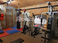 Pronájem, byt 2+kk+L, 49 m2, 3. patro, cihl. dům, parkování, zahrada, fitness, sauna, Ústí nad Labem - 20200301_164403.jpg