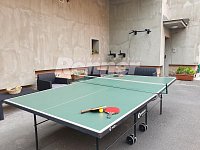 Pronájem, byt 2+kk+L, 49 m2, 3. patro, cihl. dům, parkování, zahrada, fitness, sauna, Ústí nad Labem - Ping-pong.jpg