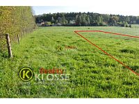 Pozemek  o celkové výměře 4038 m2, Na Dolech, Kamenný Újezd - Foto 3