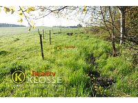 Pozemek  o celkové výměře 4038 m2, Na Dolech, Kamenný Újezd - Foto 4