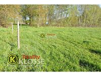 Pozemek  o celkové výměře 4038 m2, Na Dolech, Kamenný Újezd - Foto 6