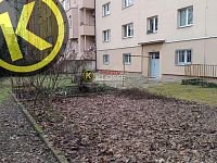 PRONAJATO Cihlový byt 2+kk (42,6 m2) přízemí do zahrady, výtah, Mášova 14/16 čp. 731, Brno Veveří. - 23010dddd.jpg