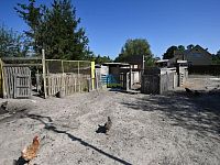 RK Rebellion nabízí stavební pozemek s rekr.objekty, rybníkem a ovoc.sadem v Krapicích  na prodej - Krapice pozem (60).JPG