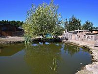 RK Rebellion nabízí stavební pozemek s rekr.objekty, rybníkem a ovoc.sadem v Krapicích  na prodej - Krapice pozem (73).JPG