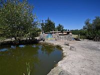 RK Rebellion nabízí stavební pozemek s rekr.objekty, rybníkem a ovoc.sadem v Krapicích  na prodej - Krapice pozem (76).JPG