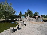 RK Rebellion nabízí stavební pozemek s rekr.objekty, rybníkem a ovoc.sadem v Krapicích  na prodej - Krapice pozem (86).JPG