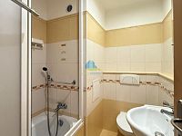 Byt 1+1(35m2) v panelovém domě k pronájmu - 1+1 Ang.Fr.L (3).JPG