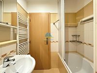 Byt 1+1(35m2) v panelovém domě k pronájmu - 1+1 Ang.Fr.L (6).JPG