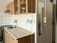 BYT 1+1 v panelovém domě v Plesné na prodej - IMG_E7415co.jpg