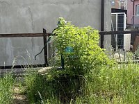 Rodinný dům(239m² zast.pl.) o velikosti 3+1, se zahradou(267 m²) na prodej - IMG_8307cop.jpg