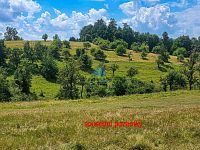 Stavební pozemek 2 674 m² s vrtem a sítěmi na dosah, Hřebeny - Josefov u Sokolova - 20260716_134503.jpg